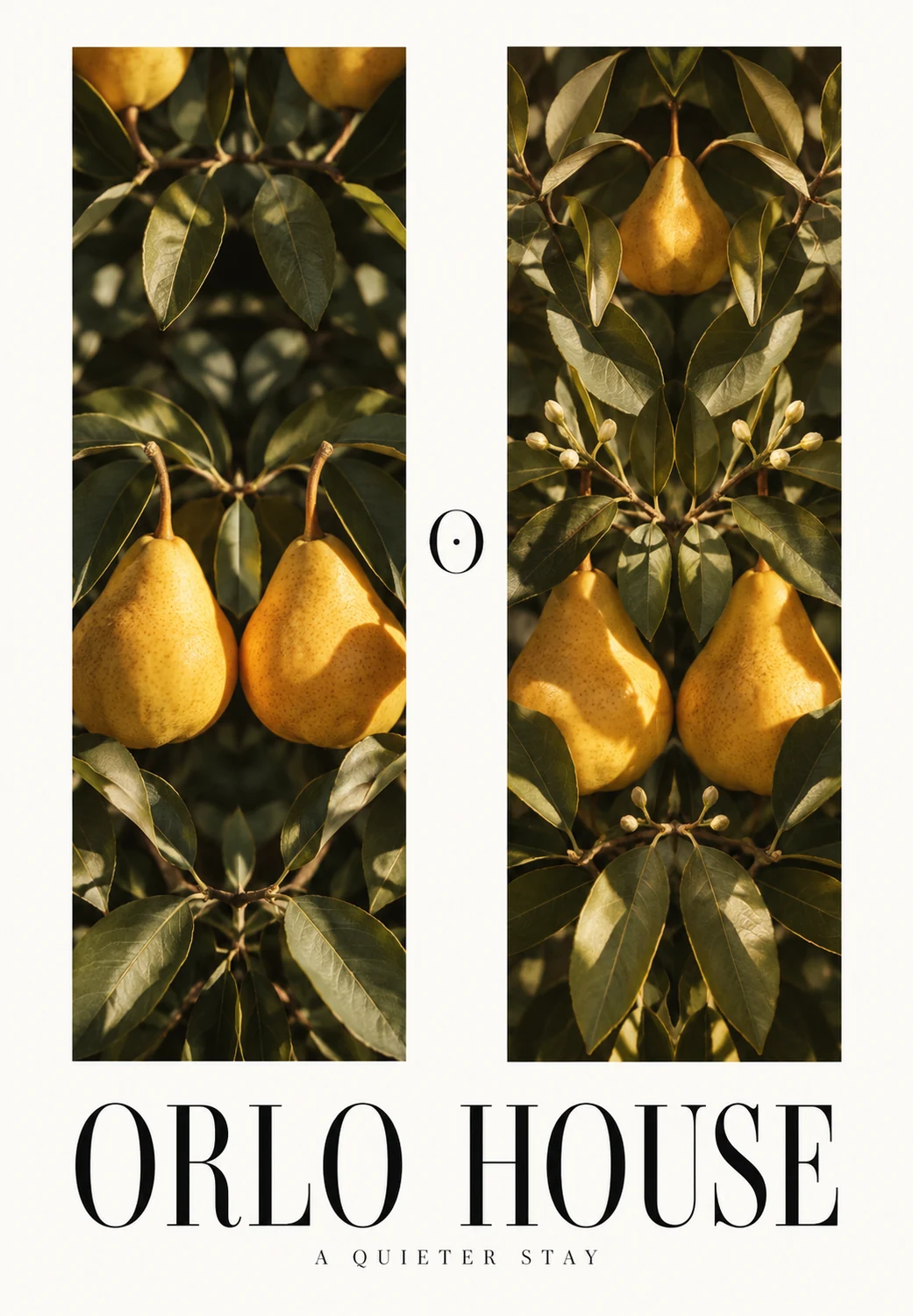Orlo House concept: sunlit pears and olive leaves in two editorial panels above a serif wordmark.